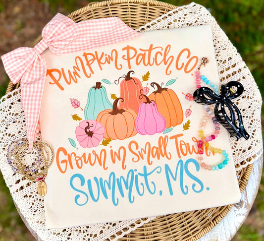 Pumpkin Patch Small Town